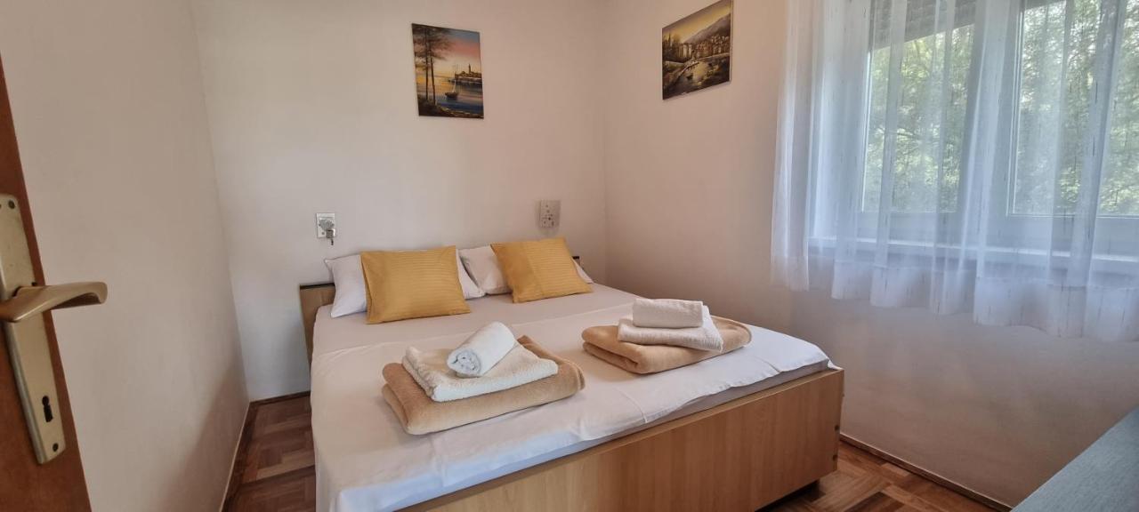 Apartments Anica Beber Borovići Extérieur photo